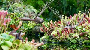 a garden filled with lots of different types of plants