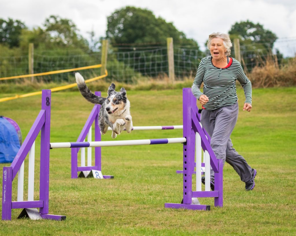 a woman and a dog running over a hurdle