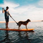 man and dog on paddleboard