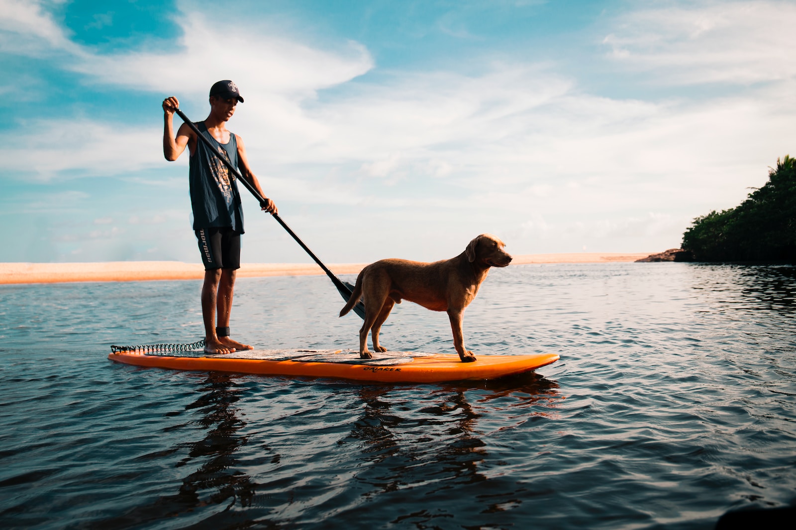 man and dog on paddleboard